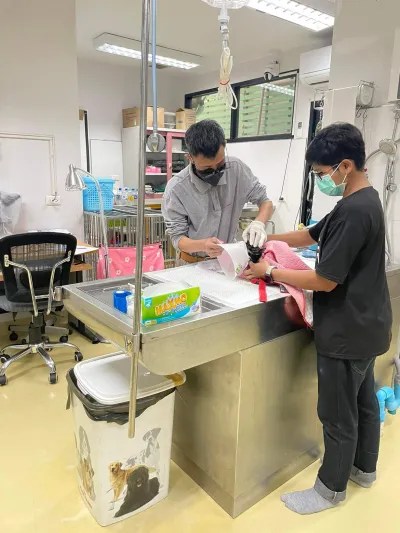 Pattarapat Animal Hospital