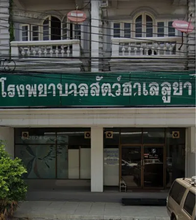 HL Pet Hospital