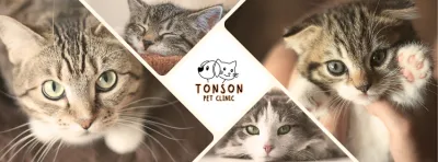Tonson Pet Clinic