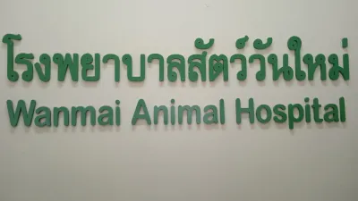 New Animal Hospital