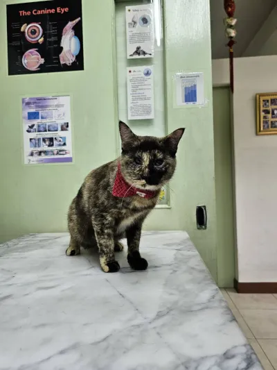 Thonburi Veterinary Clinic