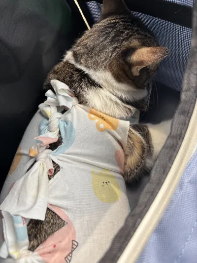 Happy Newter Dog and Cat Clinic