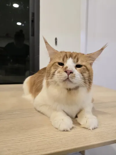Baan Ya Smile Clinic