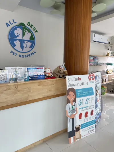 All Best Pet Hospital