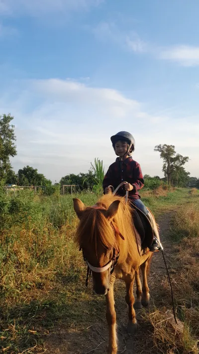 Amin Horse Riding Course