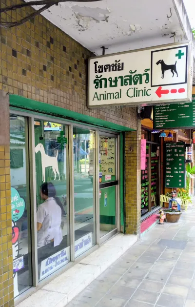 Animal Clinic