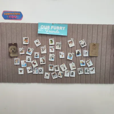 BLEZ Animal Clinic - DONKI Mall Thonglor