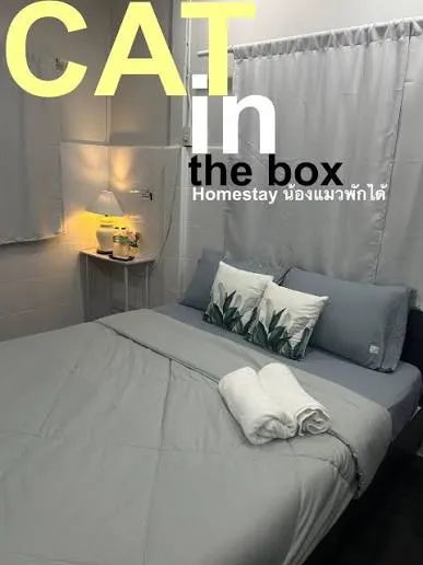 Cat In The Box Homestay
