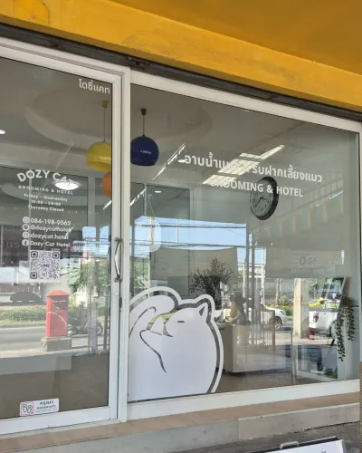 Dozy Cat Grooming & Hotel