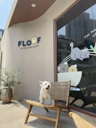 FLOOF Pet Wellness Centre