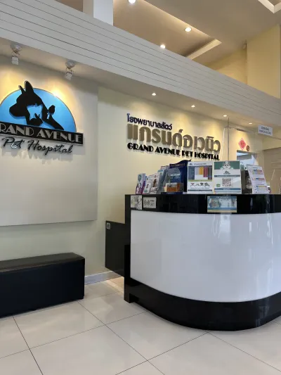 Grand Avenue Pet Hospital