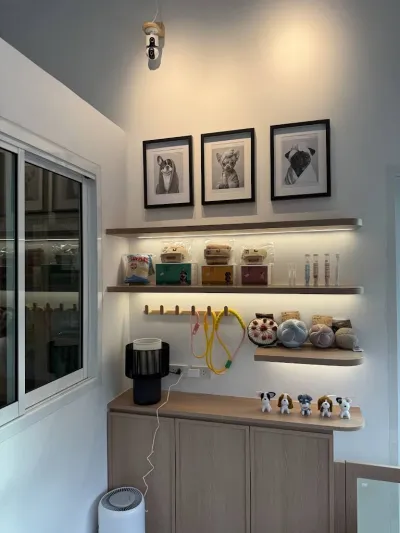 Houndy and Co. (Pet Grooming)
