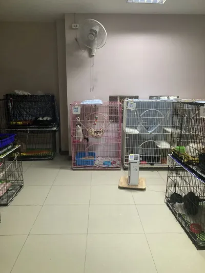 Lat Phrao Veterinary