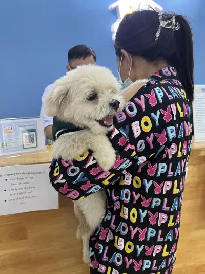 Meesuk Vet Clinic