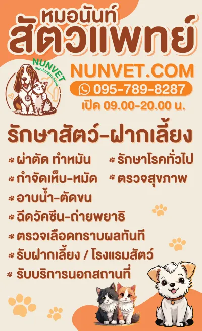 NUNVET Clinic & Hotel