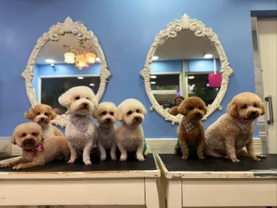 PETCORNER