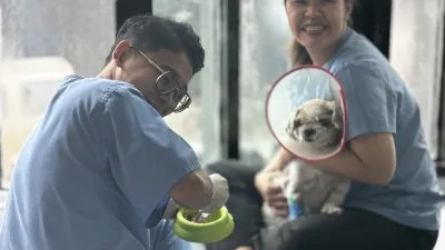 PETiS Animal Hospital