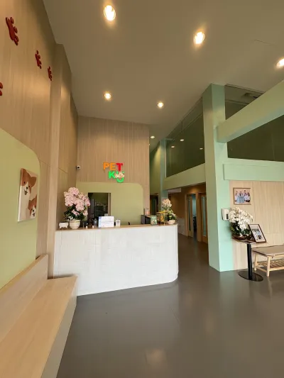 Petku animal hospital Bang Care