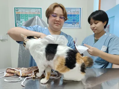 Pet'sHome Pet Hospital