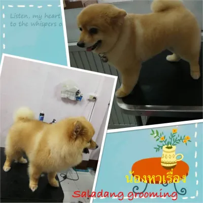 Sala Daeng Grooming