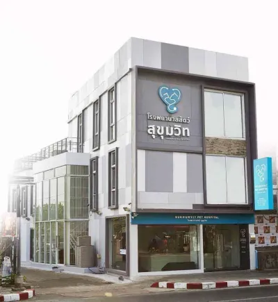SUKHUMVIT PET HOSPITAL