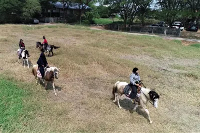 The Stallion Horse Riding Thailand