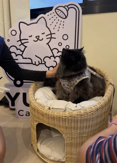 Yume Cat Care