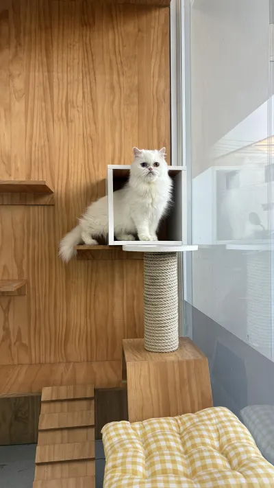 Arak Animal Hospital Chiang Mai