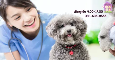 BANN HUG SUD Animal Clinic