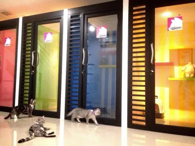 Cataholic Cat Hotel