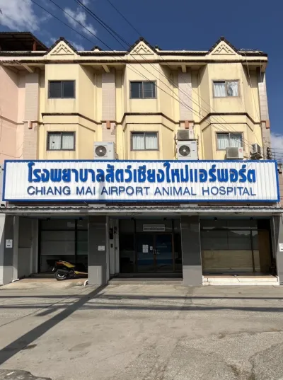 Chiang Mai Airport Animal Hospital