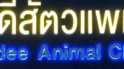 Jai-Dee Veterinarian