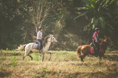 Montana Horse riding school