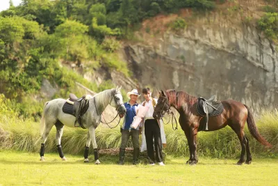 Pong Horse Park