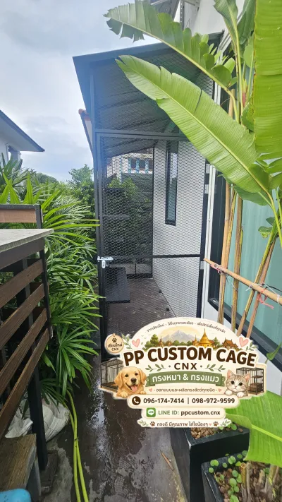 PP Cage CNX