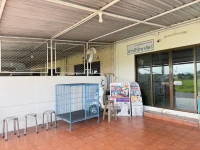 Saraphi Pet Clinic