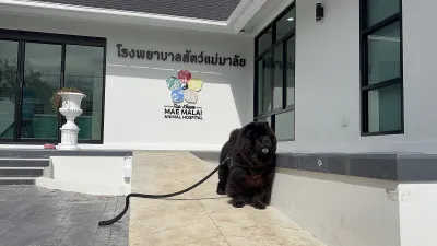 Tao Khum Animal Hospital Mae Malai