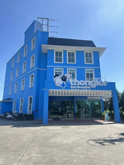 Thonglor Pet Hospital Chiang Mai