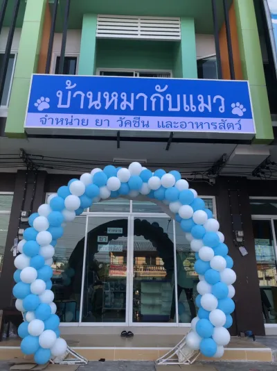 Dog and Cat Clinic, Veterinarian