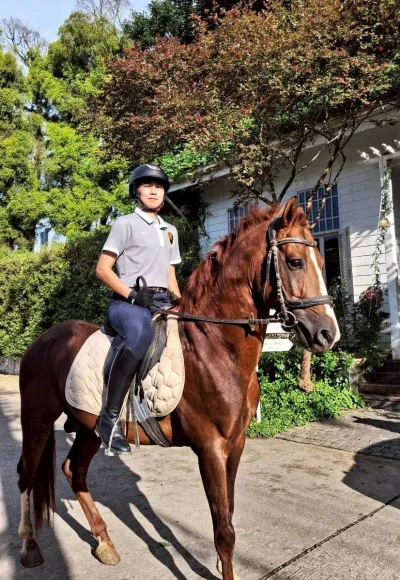 Toryga Horse Farm