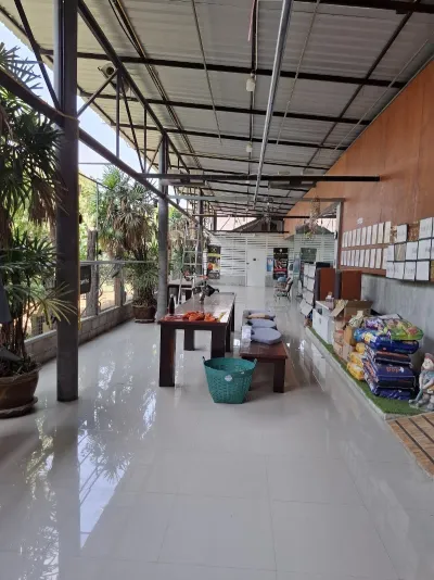 Animal Army Hospital
