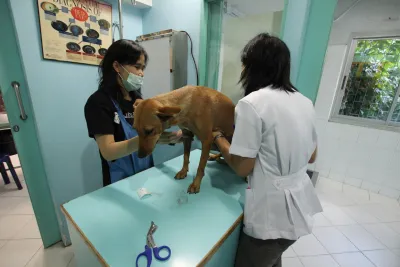 Pattaya Veterinary Clinic