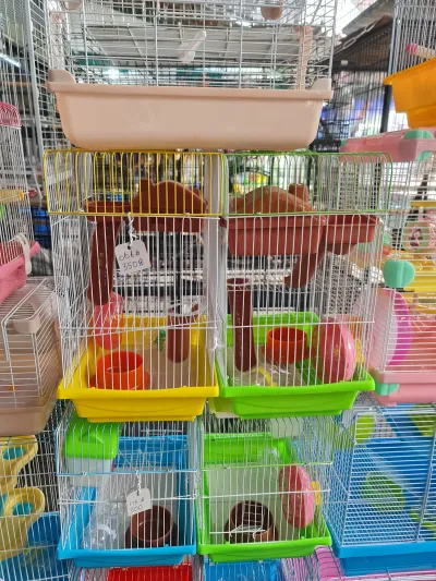 PETOPIA