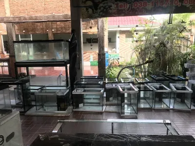 Rarn Pla Suai Nam Sai