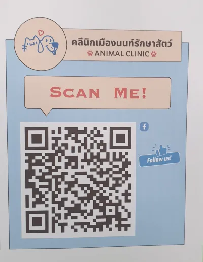 Muang Non Animal Treatment