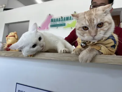 Mahasawat Clinic