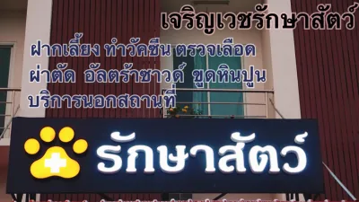 Charoenvej Clinic Animal Treatment
