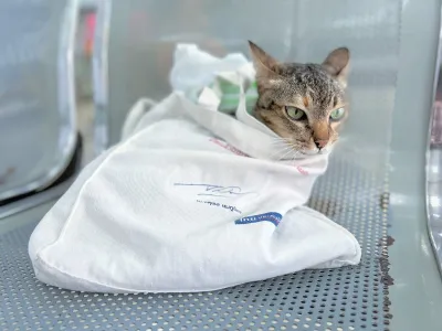 Banbuathong Pet Hospital
