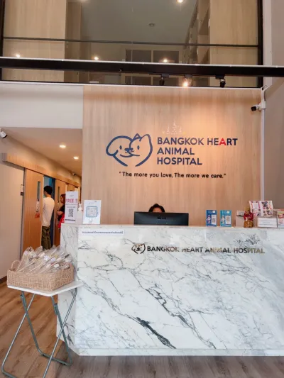 Bangkok Heart Animal Hospital Nonthaburi