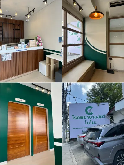 Momo animal hospital ratchapruek nonthaburi branch